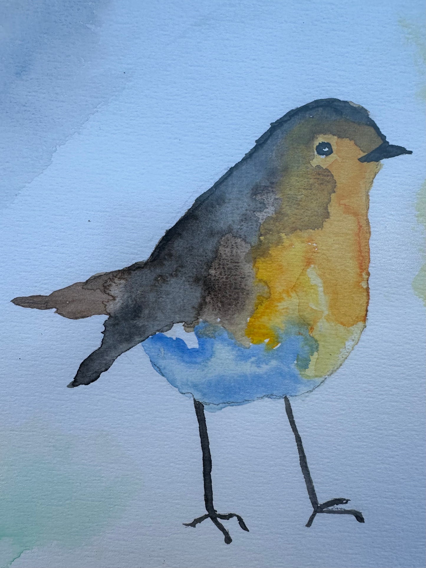 Suluboya Tablo “the bird”