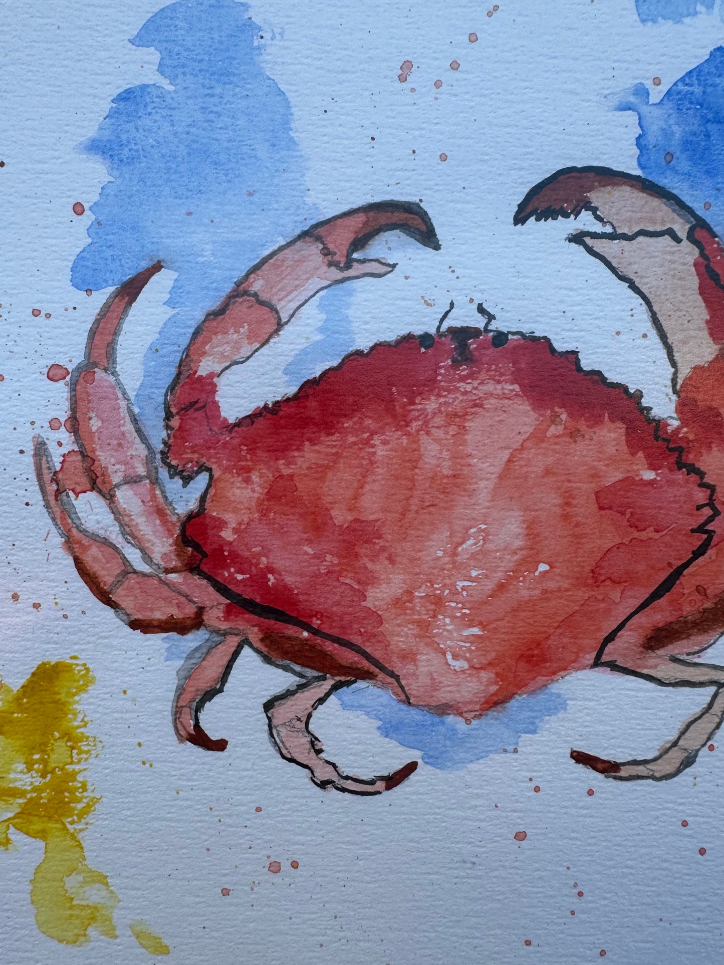 Suluboya Tablo “the crab”