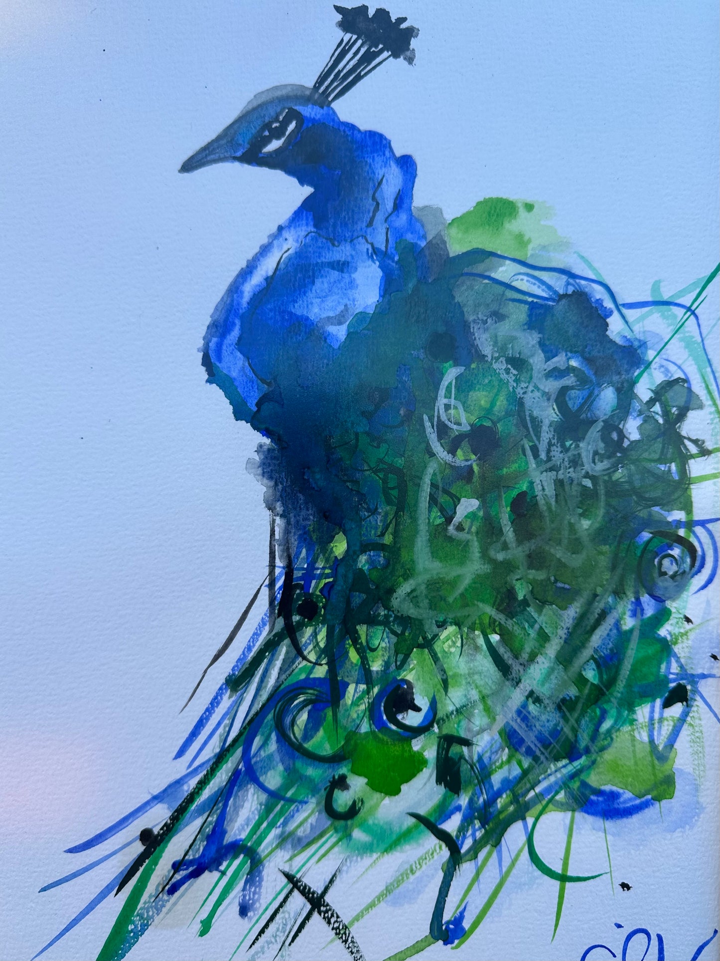 Suluboya Tablo “the peacock”