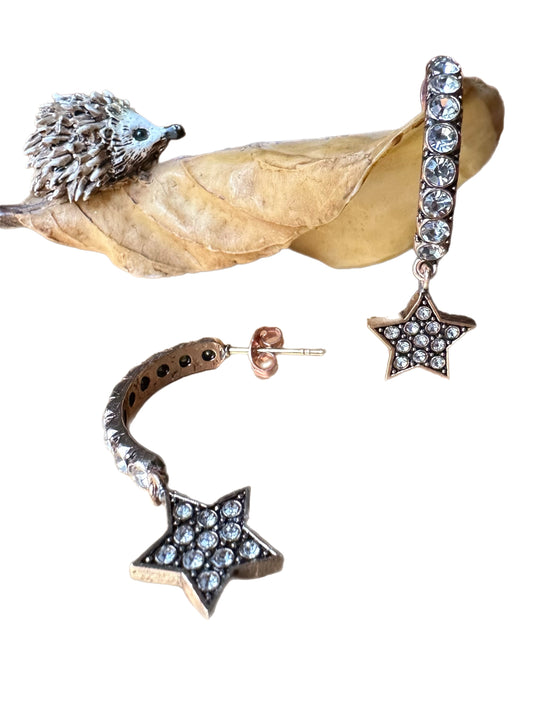 Star Nancy Earrings