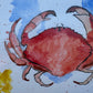 Suluboya Tablo “the crab”